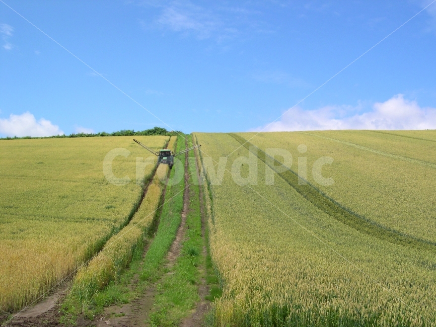 농기계,트랙터,농업,농사,논밭,밭,작물,농작물,밀,밀밭,논,시골,전원,산업,풍경,언덕,비료,거름,방제,식량,재배,자연,풍경,nature,landscape,시골,마을,country,rural,town,산업,industry,industrial,농업,농사,agriculture,farming,farming industry