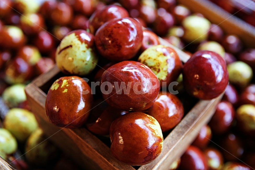 대추,빨강,수확,과일,음식,식재료,요리,먹거리,가을,추수,가을,계절,fall,autumn,season,과일,열매,fruit,plant,식물
