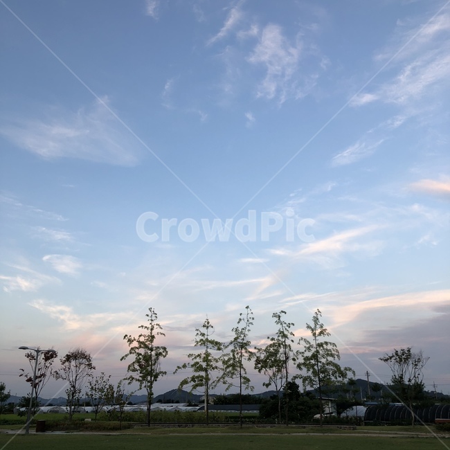 하늘,예쁜하늘,나무,풍경,자연풍경,자연,tree,숲,nature,sky,구름,초록,구미,경상북도,경북구미,경북,자연,풍경,nature,landscape,plant,식물,grass,잔디,outdoors,옥외,field,들