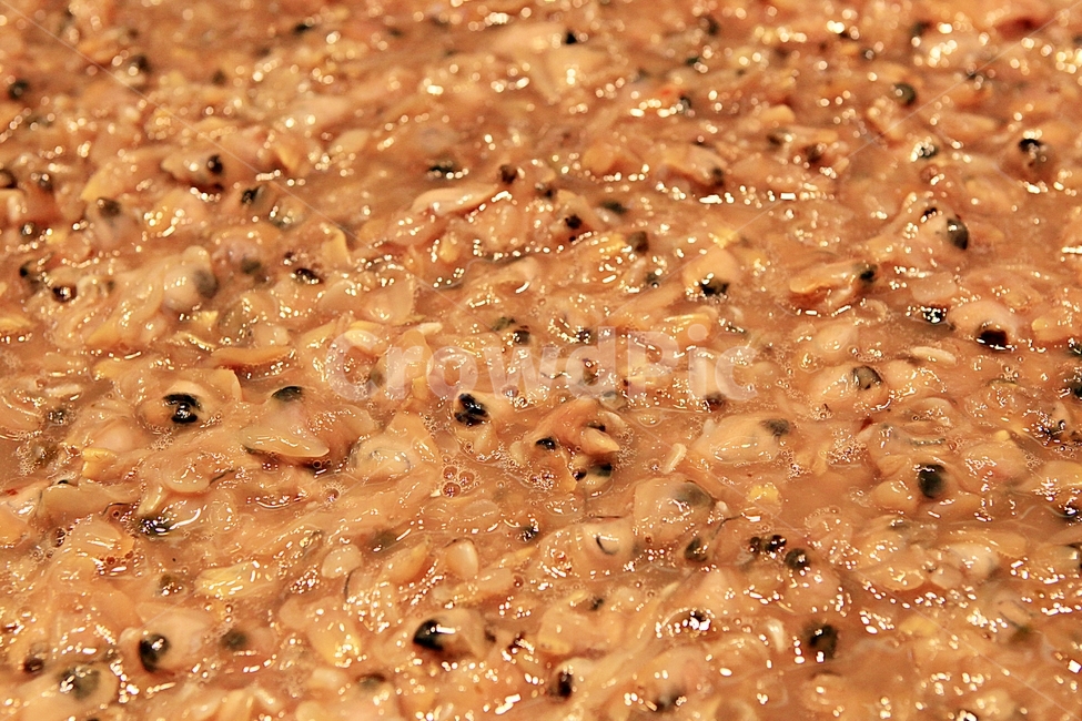 조개젓,젓갈,조개,먹거리,음식,음식,식재료,요리,food,cook,meal,dishes,food reserves