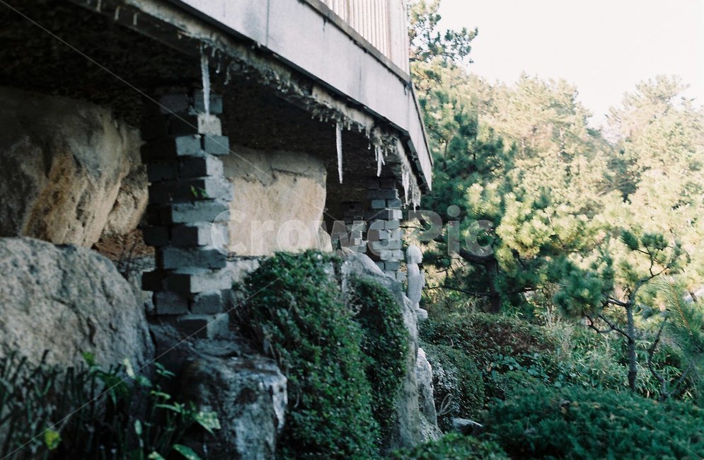 고드름,겨울,돌담,나무,필름카메라,건축물,건물외관,exterior,building,structure,architecture,construction