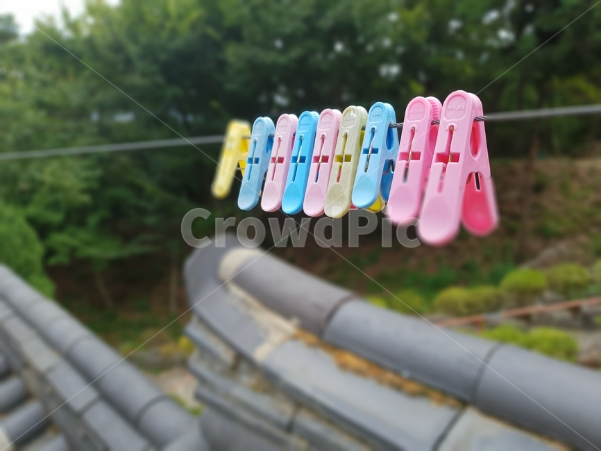 빨래집게,빨래줄,담장,여름,초록,분홍색,하늘색,사물,물건,오브젝트,thing,object,matter