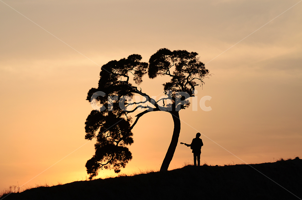감성,나무,노을,저녁노을,특이한나무,실루엣,그림자,silhouette,shadow,인물실루엣,사람실루엣,character silhouette,human silhouette,nature,자연,outdoors,옥외,person,사람,human,인간