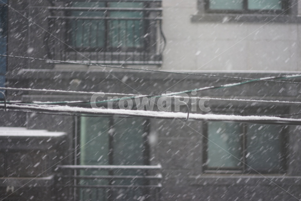 스노우,눈,snow,겨울,폭설,날씨,겨울,계절,winter,season