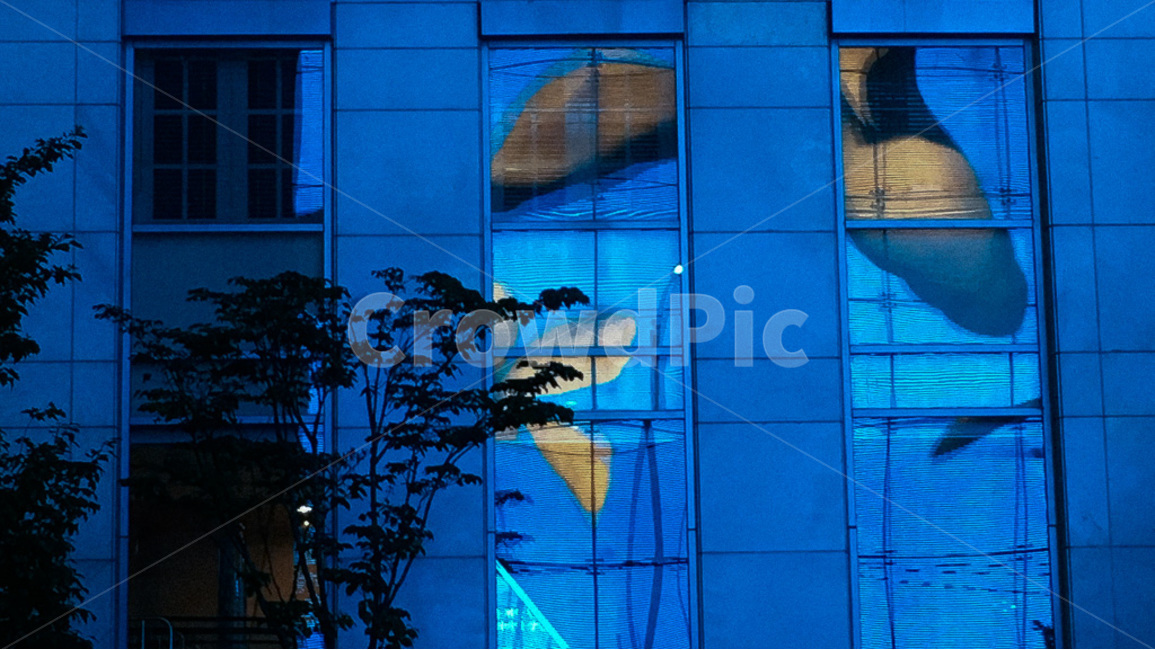 창문,파랑,반사,노랑,꽃,건축물,건물외관,exterior,building,structure,architecture,construction