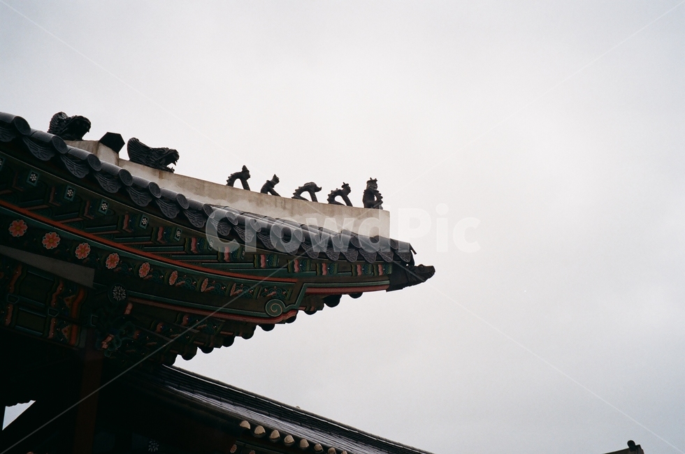 고궁,기와,처마,화성행궁,필름사진,감성,배경,풍경,고즈넉한,오래된,전통적인,bird,새,animal,동물,한국전통,한국문화,korean traditional,korean culture