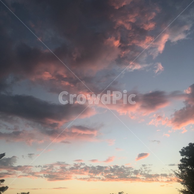 구름,하늘,석양,노을,분홍색,분홍구름,자연,풍경,nature,landscape,outdoors,옥외,dawn,새벽,red sky,붉은 하늘,sunset,일몰,sky,dusk,황혼