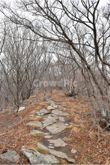 거금도,적대봉,풍경,바다,사진,섬,자연,물만내,오천리,서촌마을,김양식장,해안,힐링,감성,조망,전망,바위,봉수대,트레킹,등산,산행,비경,아름다운,절경,암릉,억새,겨울,겨울,계절,winter,season,자연,풍경,nature,landscape,ground,바닥,rubble,파편,tree,나무,plant,식물