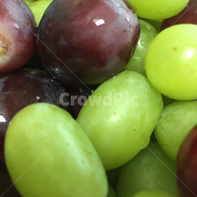 포도,청포도,과일,확대샷,근접샷,grape