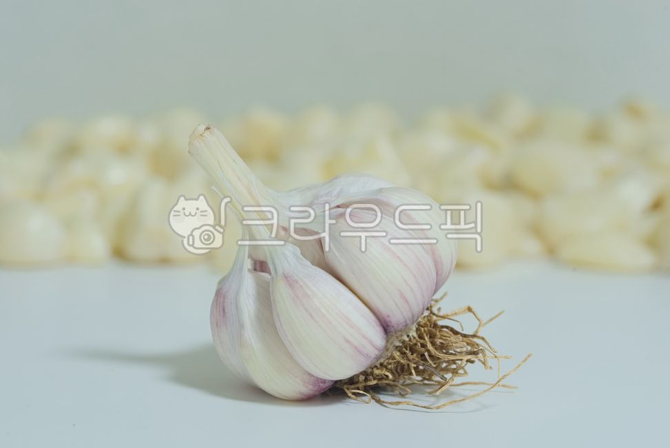 마늘,음식,식재료,건강식품,깐마늘,식품