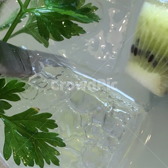 식물,plant,cafe,카페,음료수,water,얼음,ice,물,氷,アイス,こおり