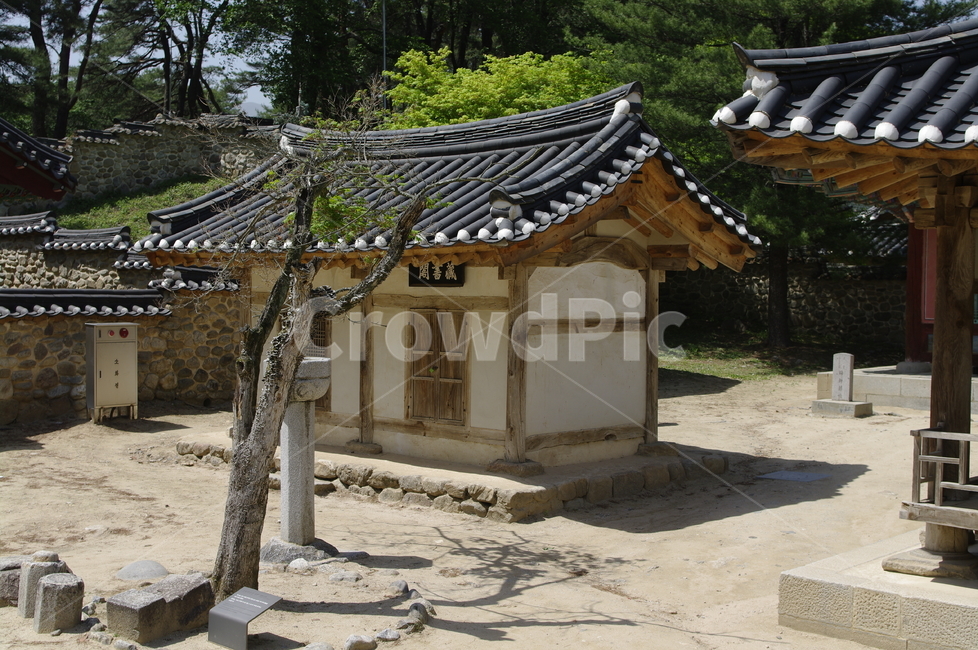 소수서원,서원,건축,전통건축,traditional,전통,기와지붕,한국전통,한국문화,korean traditional,korean culture,건축물,건물외관,exterior,building,structure,architecture,construction