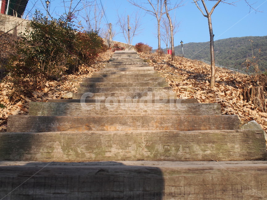 계단,입구,산중턱,나무계단,오르막,건축물,건물외관,exterior,building,structure,architecture,construction