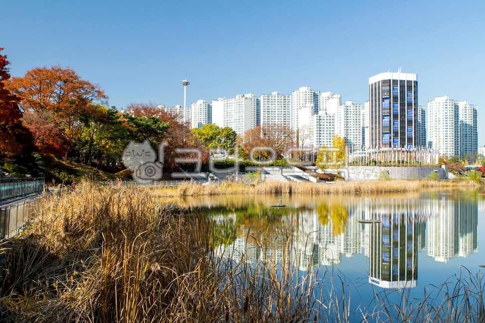 Olympic Park,theme park,Move room,city,water,building,seoul,trail,highrise,outdoors,urban,high rise building,walk,Songpagu,park