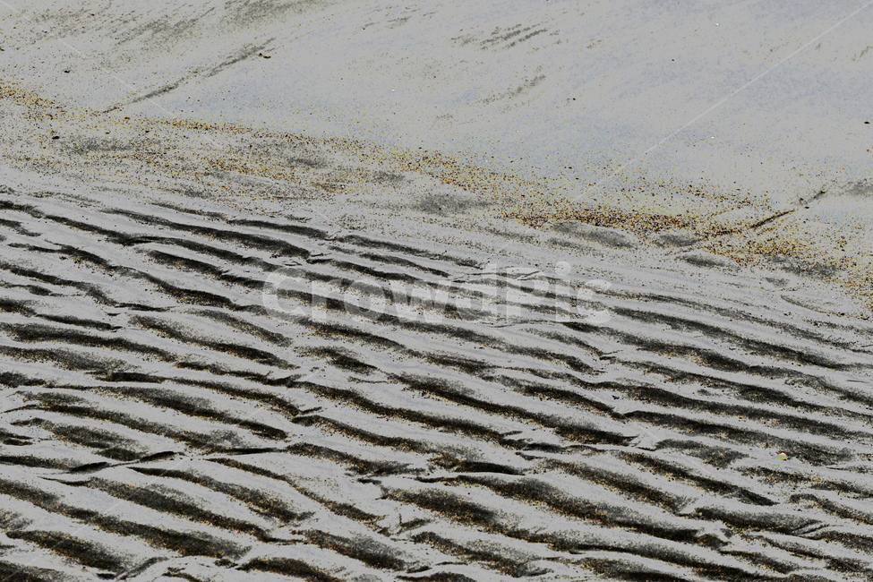 바닷가,모래,물결무늬,백사장,3월,자연,풍경,nature,landscape,soil,흙,outdoors,옥외,sand,dune,모래 언덕