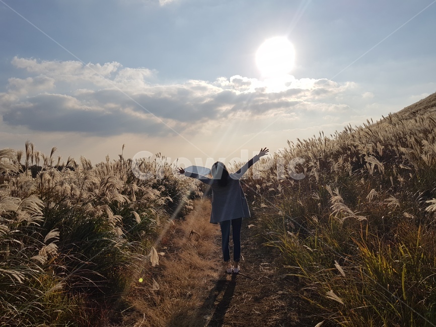 제주도,새별오름,억새,뒷모습,갈대,오름,사람,인물,인간,human,person,여성,여자,woman,female,lady