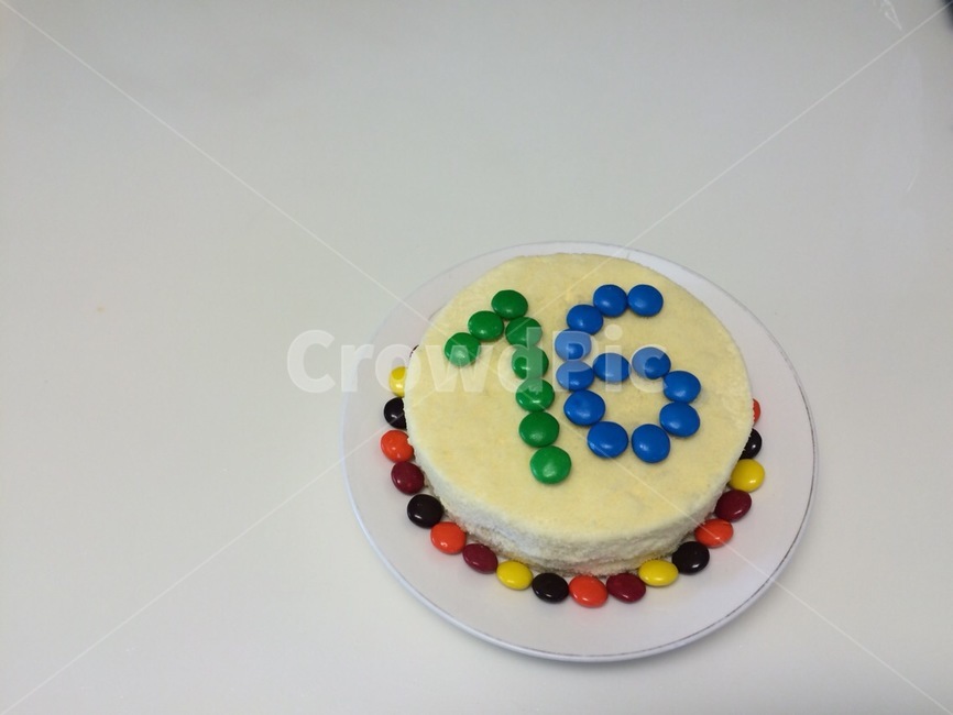 생일,케이크,치즈,초콜렛,숫자