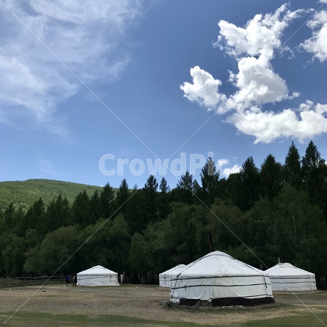 몽골,테를지,게르,자연,하늘,숲,camping