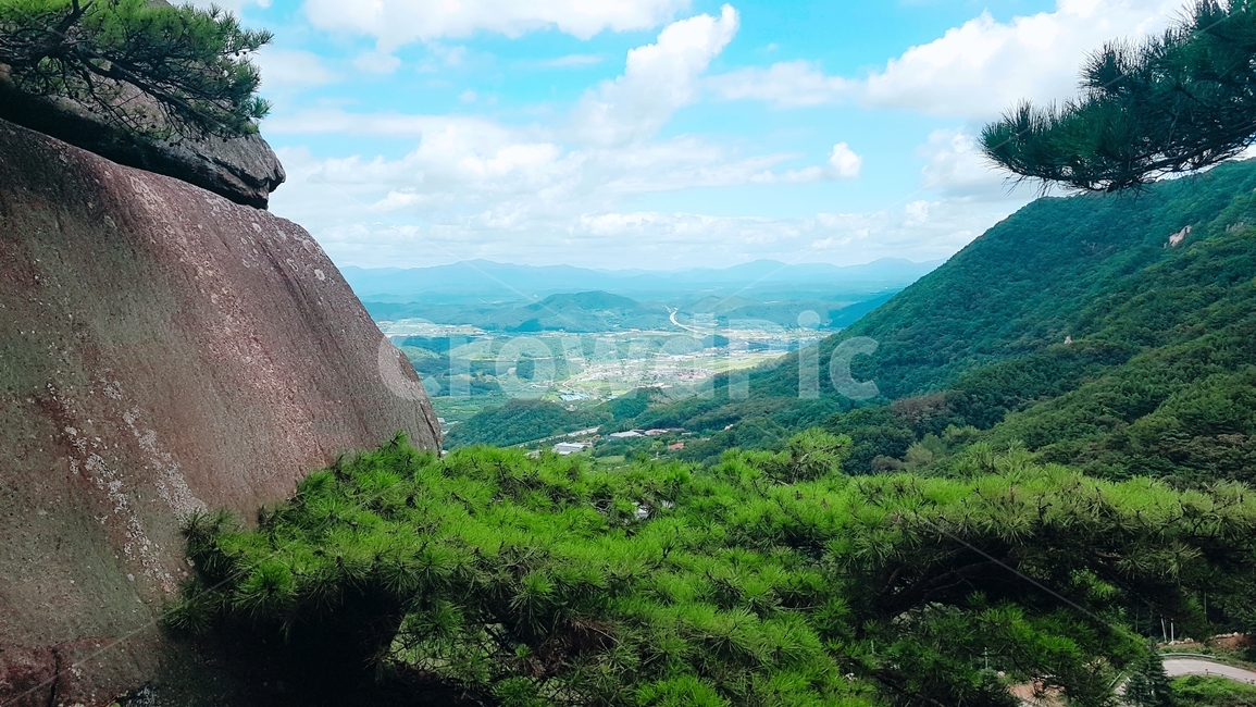 팔공산,산정상,소나무,바위,자연,nature,outdoors,녹색,자연,풍경,nature,landscape,옥외
