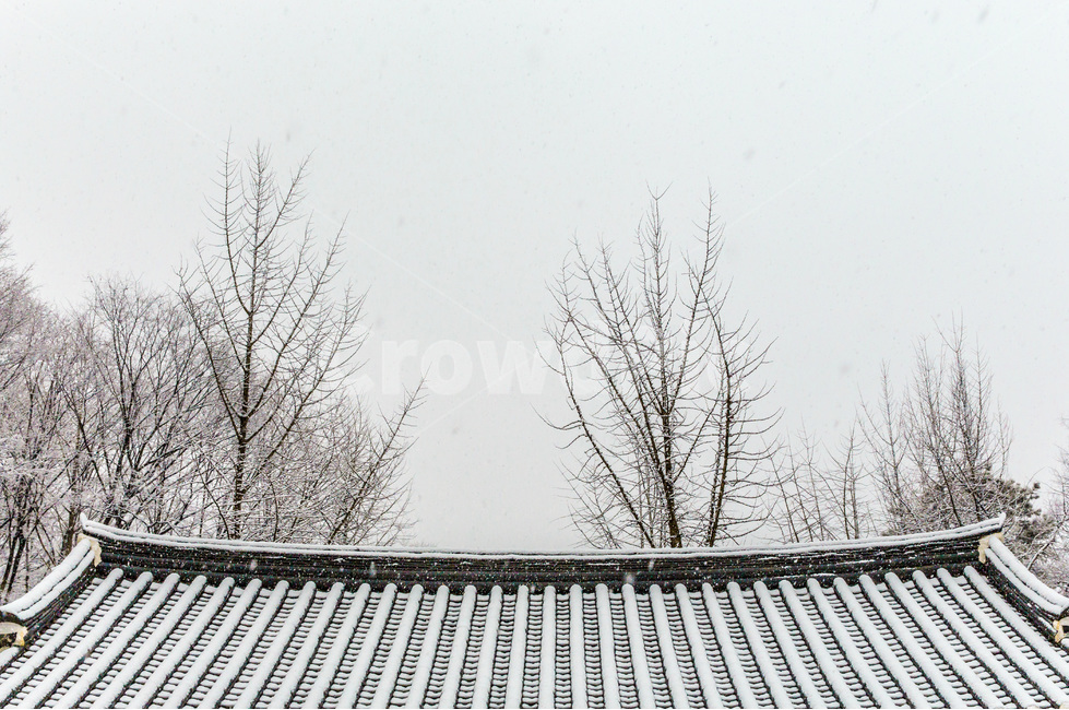 기와,설경,풍경,선,패턴,고택,겨울,계절,winter,season,한국전통,한국문화,korean traditional,korean culture,건축물,건물외관,exterior,building,structure,architecture,construction
