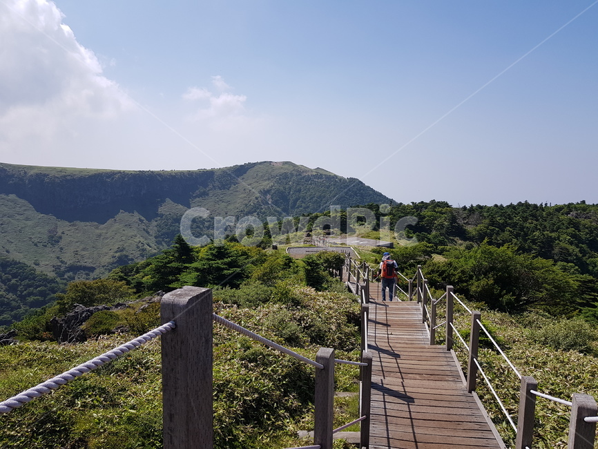 배경화면,자연풍경,경치,한라산,자연배경,등산,나무,산,등산길,제주도,한라산등산,여름,가을,하늘,자연,배경,풍경,멋진경치,nature,언덕,hill,옥외