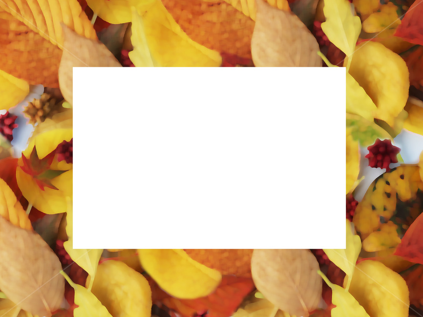 식물,잎,이벤트,바탕,낙엽,백그라운드,단풍,가을,가을,계절,fall,autumn,season,leaf,plant