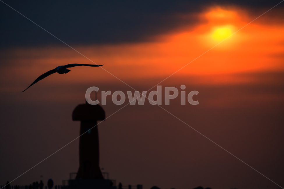 바닷가,일몰,태양,바다,하늘,실루엣,황혼,등대,lighthouse,실루엣,그림자,silhouette,shadow,flying,나는,animal,동물,bird,새