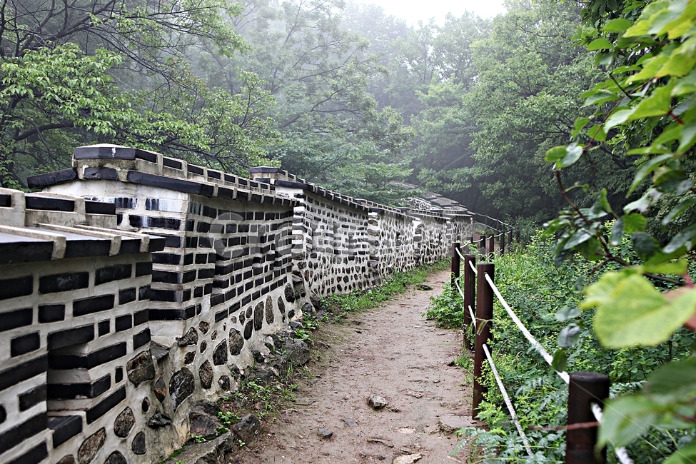 남한산성,성,성곽,길,둘레길,숲,숲길,벽,안개,돌담,담,여름,풍경