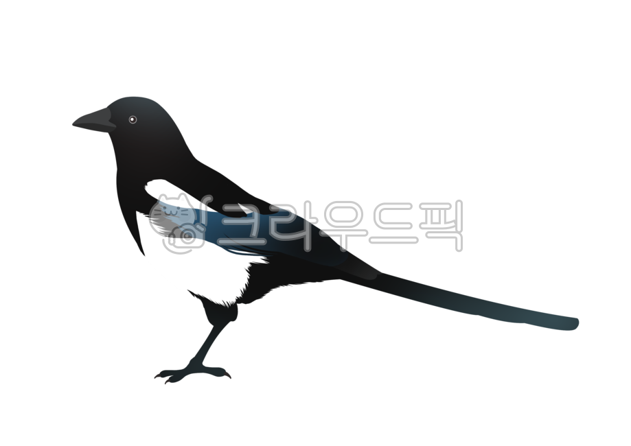 까치,새해,설날,추석,명절,전통,한국,근하신년,동물,새,까치그림,까치일러스트,까치이미지,설,신년,한가위,정월대보름,대보름