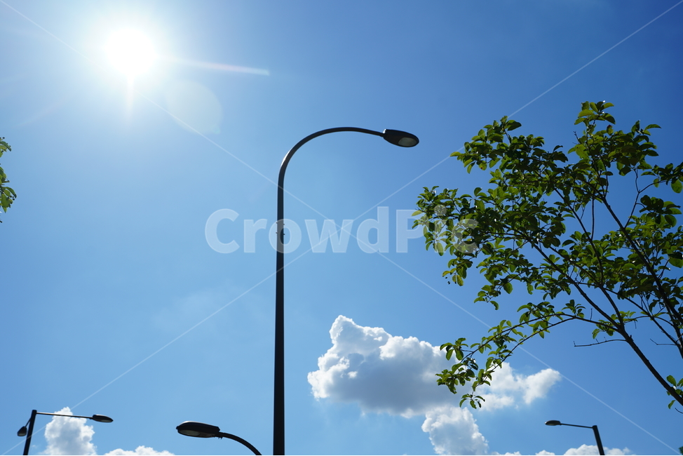 구름,하늘,날씨,파랑,블루,풍경,sky,cloud,색감,blue,자연,풍경,nature,landscape,lamp post,램프 포스트