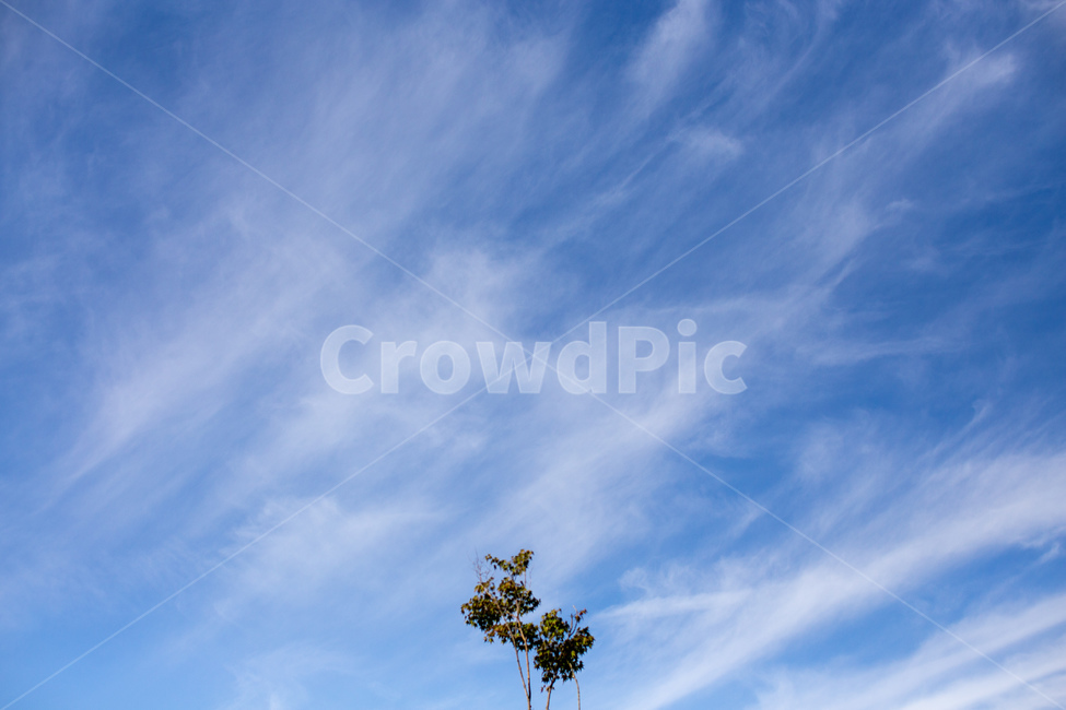 하늘,구름,blue,감성사진,바람,자연,풍경,nature,landscape,outdoors,옥외,azure sky,푸른 하늘,sky