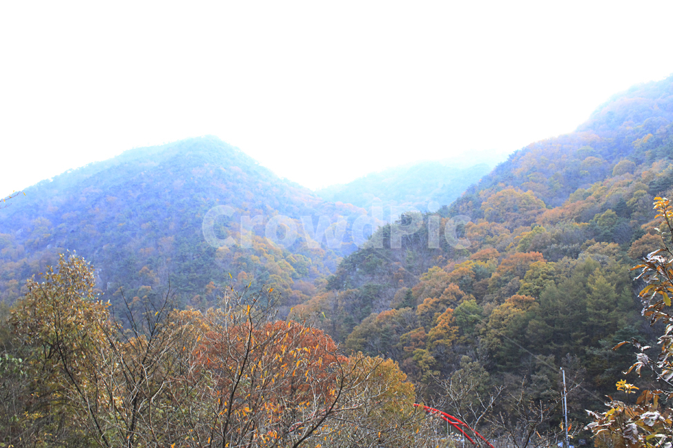 가을,낙옆,단풍,다채로운,산맥,산,등산