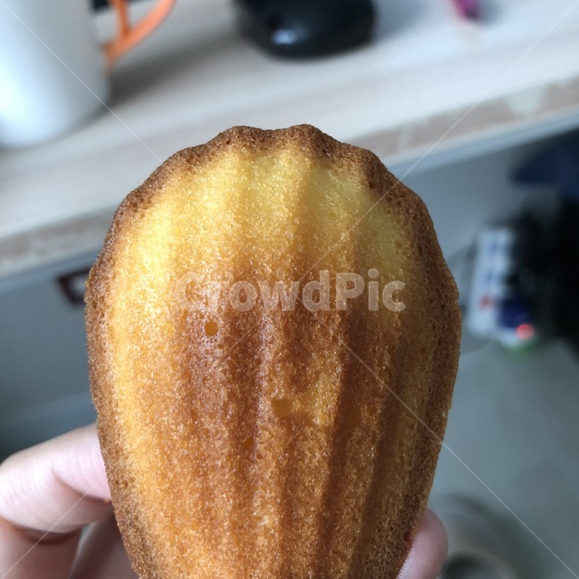 베이킹,홈베이킹,마들렌,오븐,간식,음식,식재료,요리,food,cook,meal,dishes,food reserves,디저트,간식,후식,dessert,snack