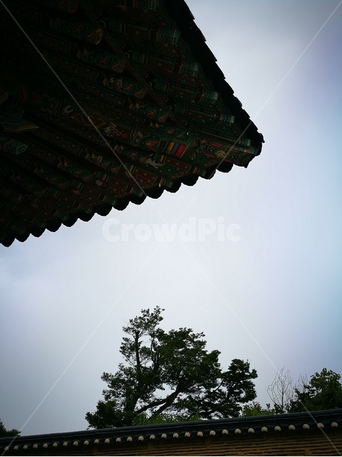 처마,비개인후,처마끝,절,기와,한국전통,한국문화,korean traditional,korean culture
