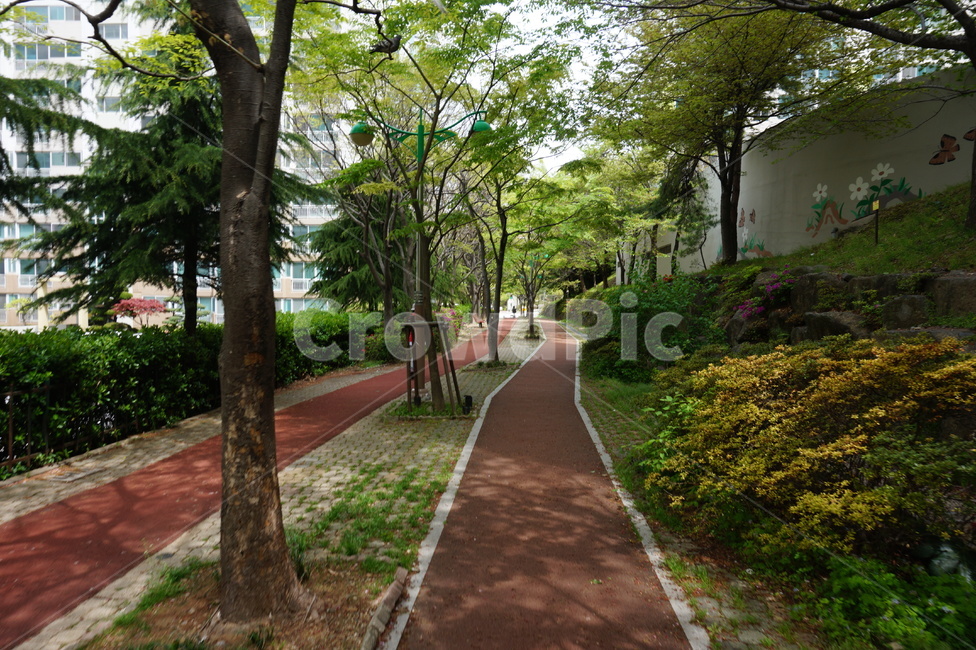 산책로,나무길,근린,연인,산책,자연,풍경,nature,landscape,outdoors,옥외,garden,정원,arbour,정자
