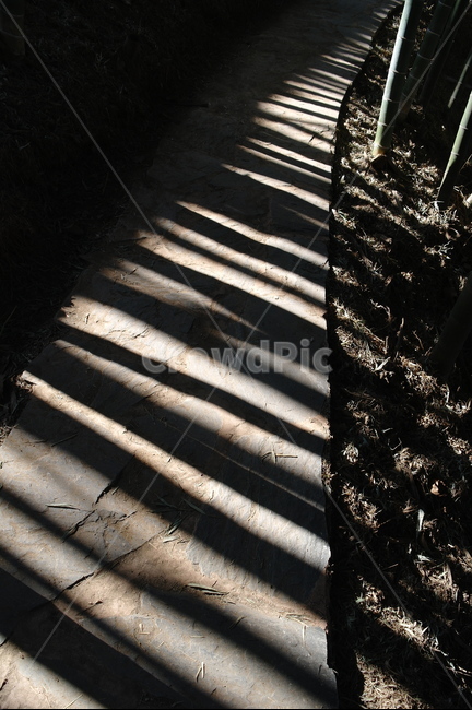 그림자,대나무,암부,자연,길,풍경,자연,풍경,nature,landscape,asphalt,아스팔트,staircase,계단,road,도로