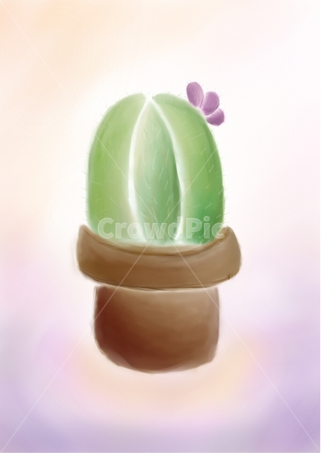선인장,꽃,사물,일러스트,화분,식물,cactus,flower,thing,illustration,plant,pot,그래픽,일러스트레이션,graphic,illustration