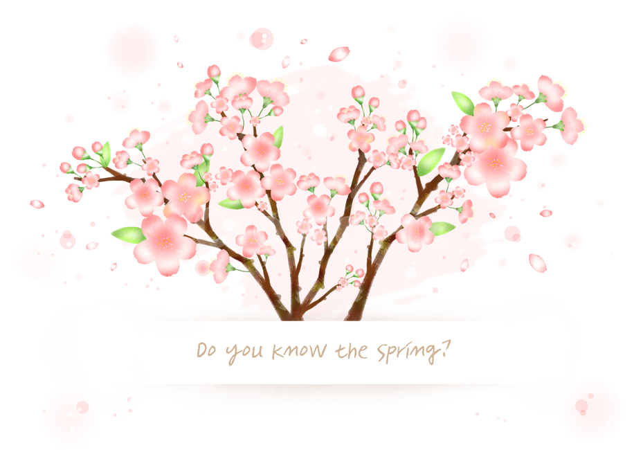 벚꽃,꽃,나무,나뭇가지,감성,봄,배경,백그라운드,봄,계절,spring,season,그래픽,일러스트레이션,graphic,illustration,plant,식물,blossom,flower