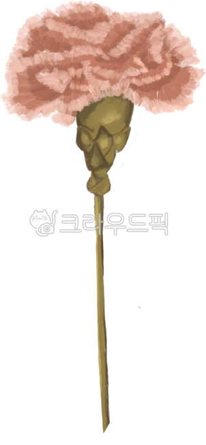 카네이션,꽃,꽃일러스트,스승의날,어버이날,졸업식,생신,은사,감사,감사합니다,엄마,아빠,선생님,교수님,flower,red,붉은