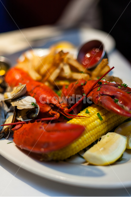 랍스터,해물,식품,맛있는,공식만찬,레스토랑,요리,식사,음식,식재료,요리,food,cook,meal,dishes,food reserves,수산물,해산물,fishery products,seafood
