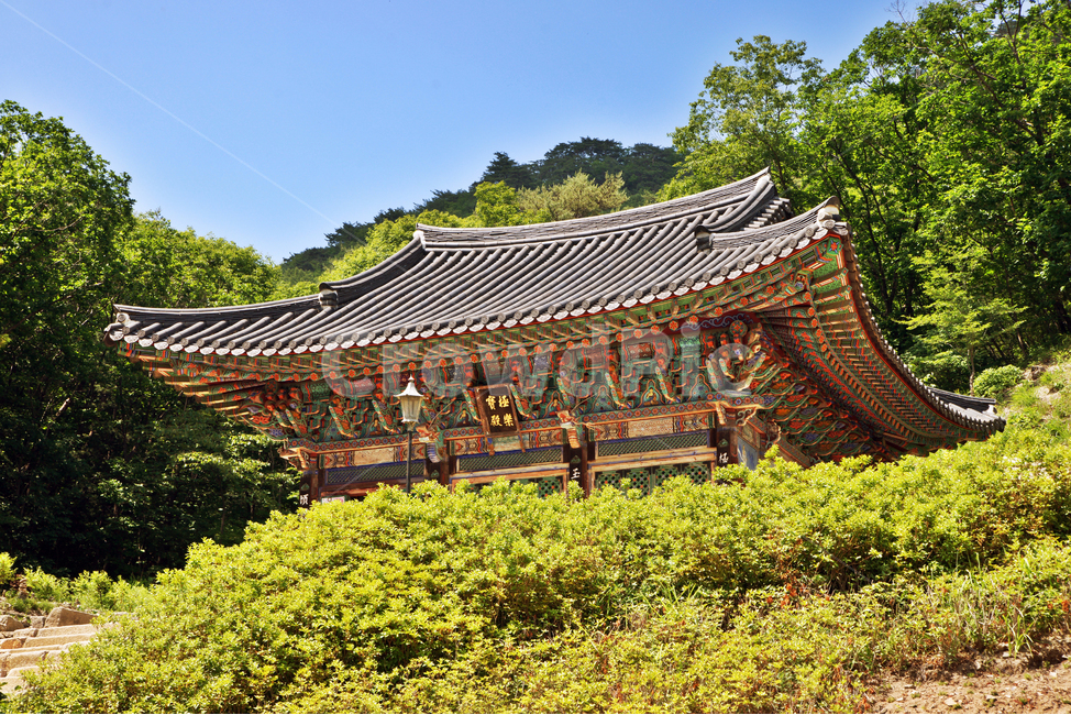 청평사,오봉산,법당,춘천,아미타불,본존,고건축,불교사찰,극락보전,자연,한국전통,한국문화,korean traditional,korean culture,종교,신앙,religion,belief,faith,건축물,건물외관,exterior,building,structure,architecture,construction