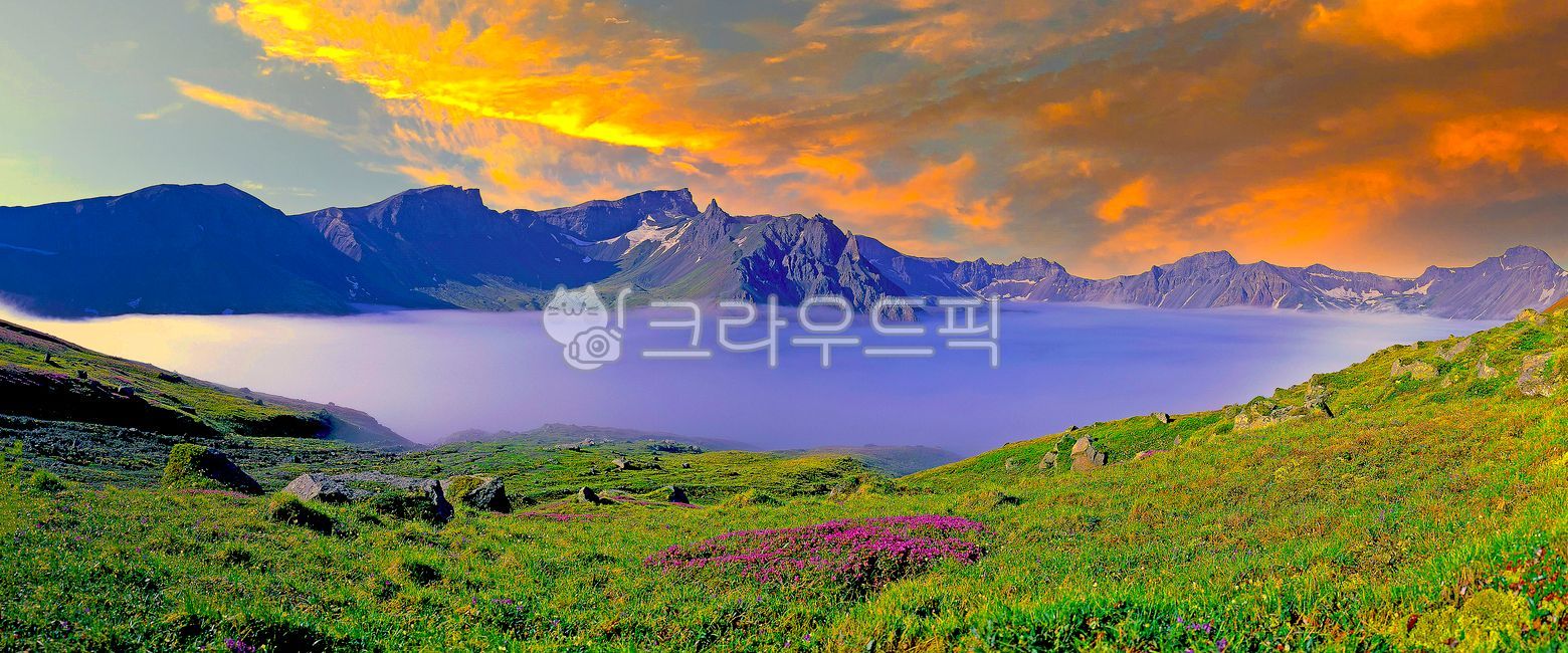 백두산,장백산,칼데라,칼데라호,칼데라호수,노을빛,이도백하,명산,관광명소,잔설,분화구,장엄한,웅장한,대자연,힐링,군락지,여행지,중국,백두산야생화,북파,천지,천지연,호수,화산,활화산,휴화산,자연,풍경,산,북한,국경,물,파노라마,아시아,온천,온천수,석회수,화산암,하늘,구름,맑음,절경,비경,신비한,신비로운,산맥,백두산천지,봄,계절,야생화,꽃,붉은꽃,퍼플,자주색,가솔송꽃,가솔송