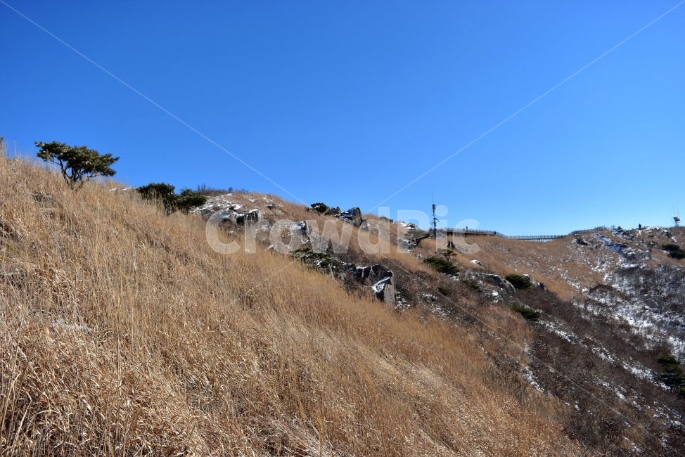 오서산,설경,눈꽃,풍경,겨울,자연,눈,스포츠,등산,산행,nature,snow,겨울풍경,느낌,아름다운,신비로운,경이로운,다큐,필,힐링,명산,국립공원,순백,landscape,winter,season,천제단,운해,영산,트레킹,인기명산,조망,전망,억새,광천,겨울,계절,winter,season,자연,풍경,nature,landscape,한국자연풍경,한국자연경관,korea nature landscape,slope,경사,ground,바닥