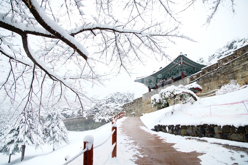 겨울,겨울풍경,상당산성,나뭇가지쌓인눈,길