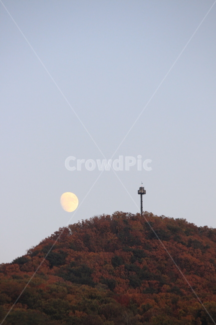 자연,단풍,하늘,달,산,가을,가을,계절,fall,autumn,season,야경,밤,풍경,nightscape,night,landscape,nature,outdoors,옥외
