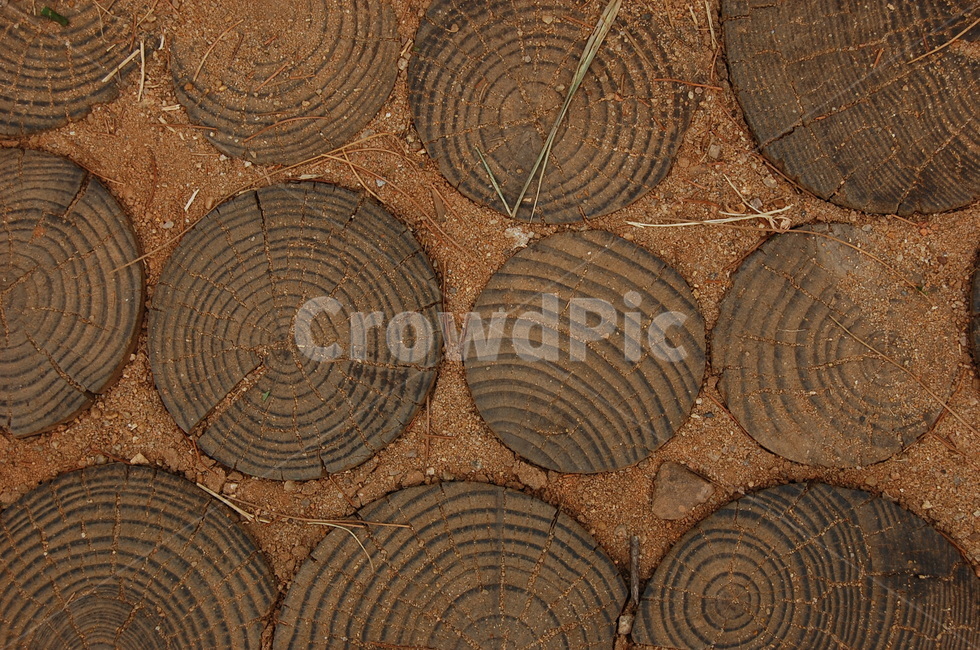 나무,흙,원형,나이테,나무조각,갈색,나무,trees,wood
