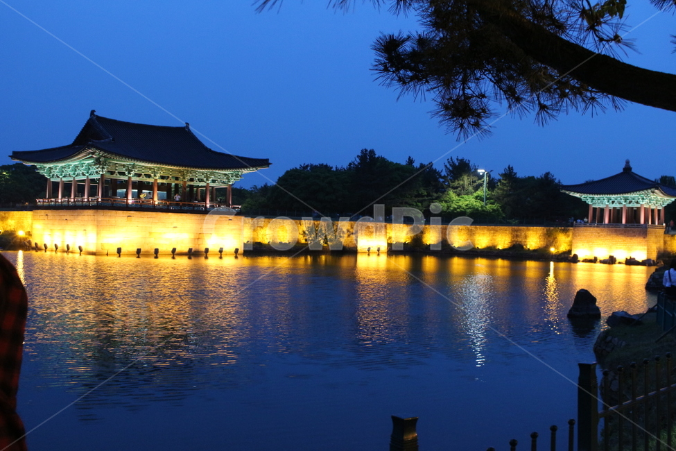 architecture,건축물,경주,전통,안압지,건물,한국,야경,korea