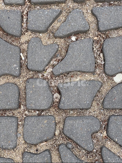 보도,sidewalk,블럭,인도,보도블럭
