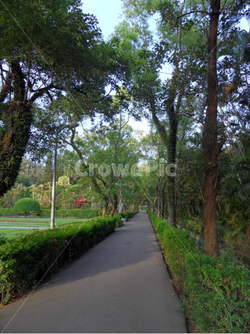 나무,자연,식물,정원,풀,자연,풍경,nature,landscape,garden,outdoors,옥외,arbour,정자
