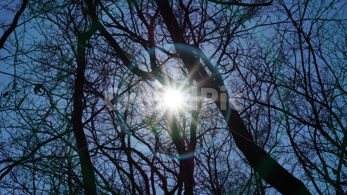 light,빛,flare,플레어,자연,태양,sun